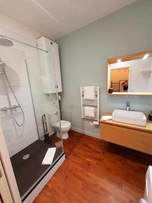 T2 Calme Vieux Tours Basilique Apartment Bagian luar foto